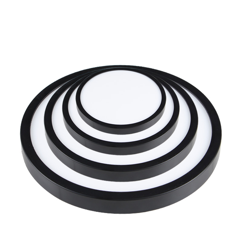 Ultra Thin Round Panel Ceiling Lamp